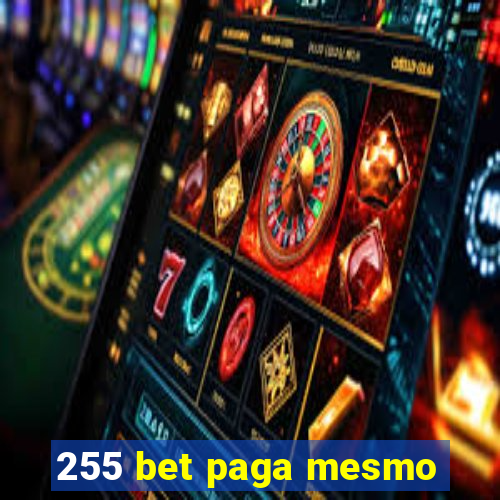 255 bet paga mesmo